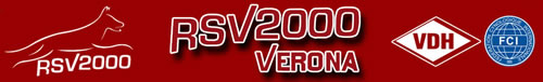 RSV2000 Verona