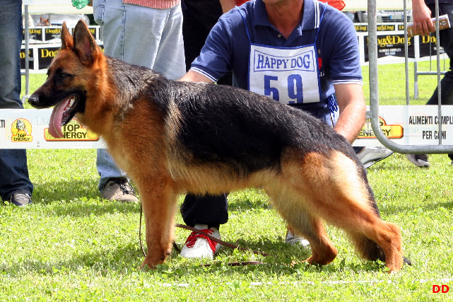 nicky